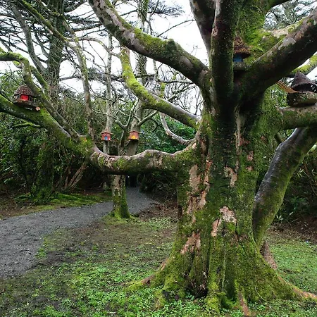 Sona Baile 홈스테이 *