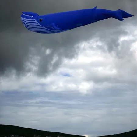 Homestay Sona Baile *