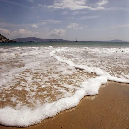 Homestay Sona Baile *