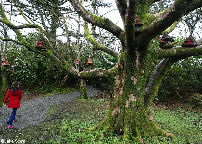 Sona Baile Kwatera prywatna *