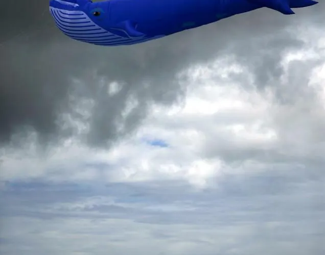 Kwatera prywatna Sona Baile *